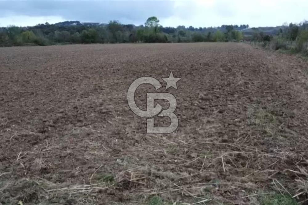 ÇOK ACİL İHTİYAÇ NEDENİYLE ÖZEL FİYATA SATIŞA SUNDUK!!!