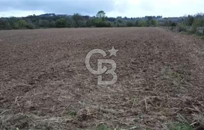 ÇOK ACİL İHTİYAÇ NEDENİYLE ÖZEL FİYATA SATIŞA SUNDUK!!!