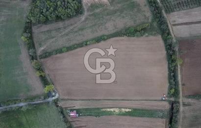 ÇOK ACİL İHTİYAÇ NEDENİYLE ÖZEL FİYATA SATIŞA SUNDUK!!!