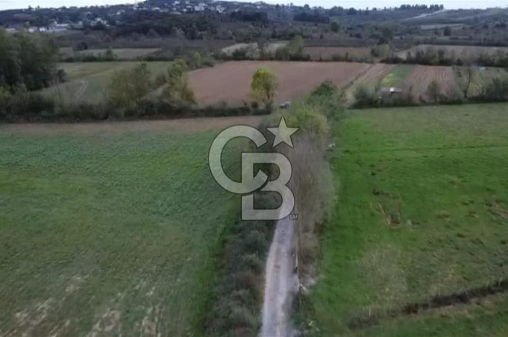 ÇOK ACİL İHTİYAÇ NEDENİYLE ÖZEL FİYATA SATIŞA SUNDUK!!!