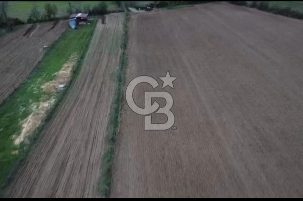 ÇOK ACİL İHTİYAÇ NEDENİYLE ÖZEL FİYATA SATIŞA SUNDUK!!!