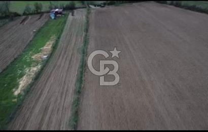 ÇOK ACİL İHTİYAÇ NEDENİYLE ÖZEL FİYATA SATIŞA SUNDUK!!!