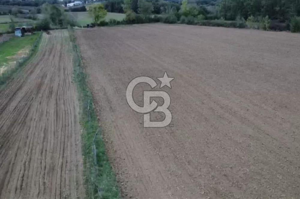 ÇOK ACİL İHTİYAÇ NEDENİYLE ÖZEL FİYATA SATIŞA SUNDUK!!!