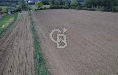 ÇOK ACİL İHTİYAÇ NEDENİYLE ÖZEL FİYATA SATIŞA SUNDUK!!!