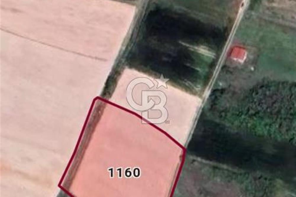 SATILIK, KIRKLARELİ MERKEZ KAVAKDERE KÖYÜNDE FIRSAT