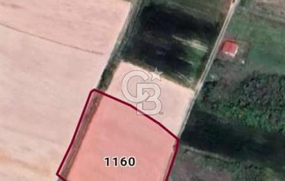 SATILIK, KIRKLARELİ MERKEZ KAVAKDERE KÖYÜNDE FIRSAT