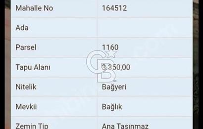 SATILIK, KIRKLARELİ MERKEZ KAVAKDERE KÖYÜNDE FIRSAT