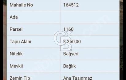 SATILIK, KIRKLARELİ MERKEZ KAVAKDERE KÖYÜNDE FIRSAT