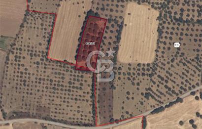 BURHANİYE ŞAHİNLER MAH. 4.451 M2 TARLA