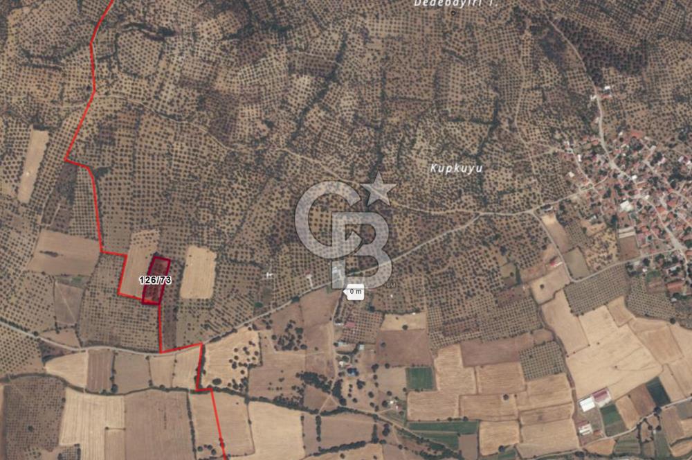 BURHANİYE ŞAHİNLER MAH. 4.451 M2 TARLA