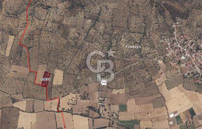 BURHANİYE ŞAHİNLER MAH. 4.451 M2 TARLA