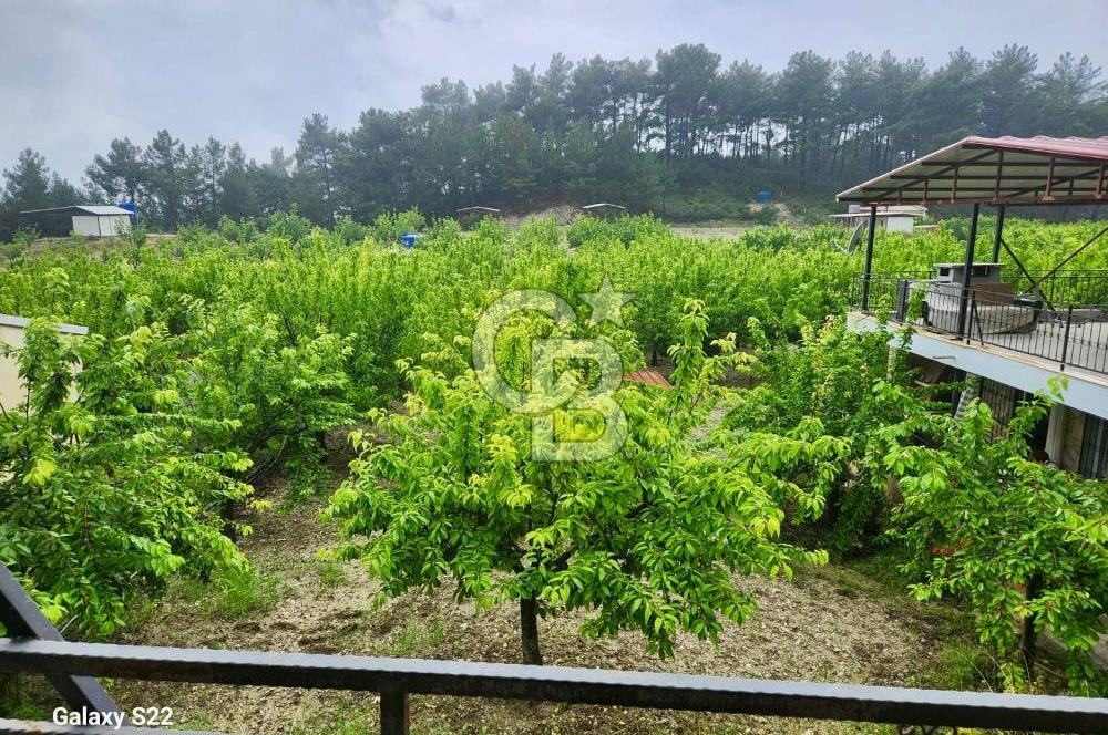 Yakaköy'de Doğa İçinde Satılık Bahçeli Müstakil Taş Ev