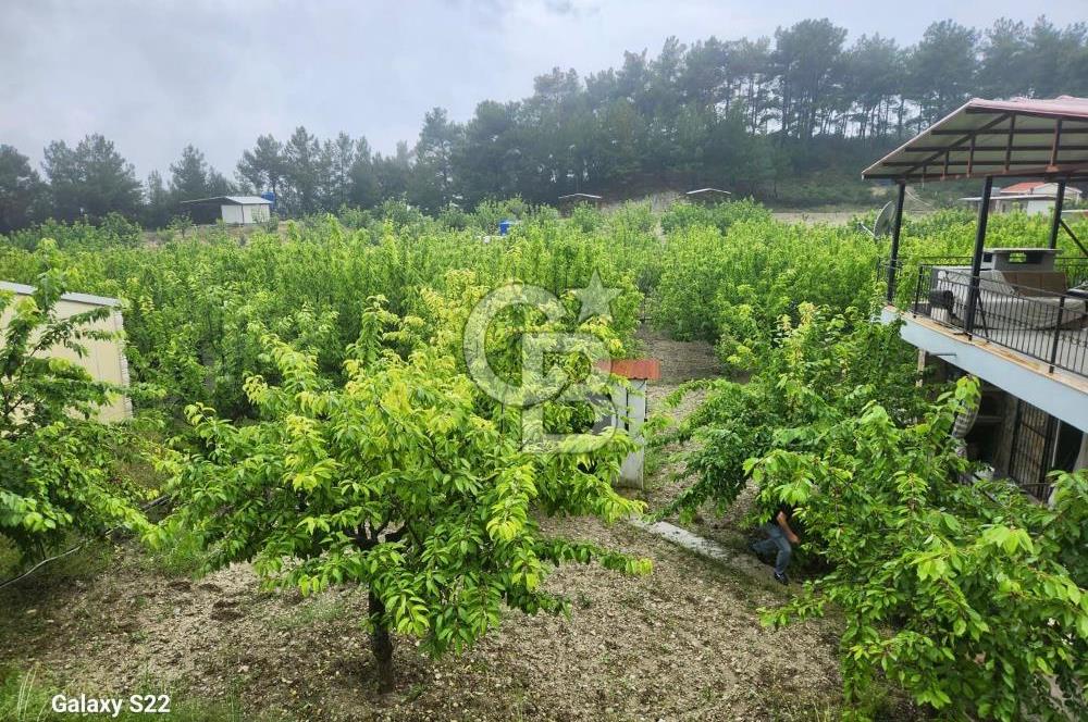 Yakaköy'de Doğa İçinde Satılık Bahçeli Müstakil Taş Ev