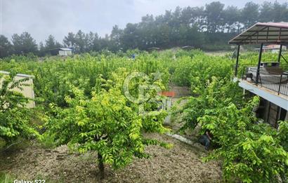 Yakaköy'de Doğa İçinde Satılık Bahçeli Müstakil Taş Ev