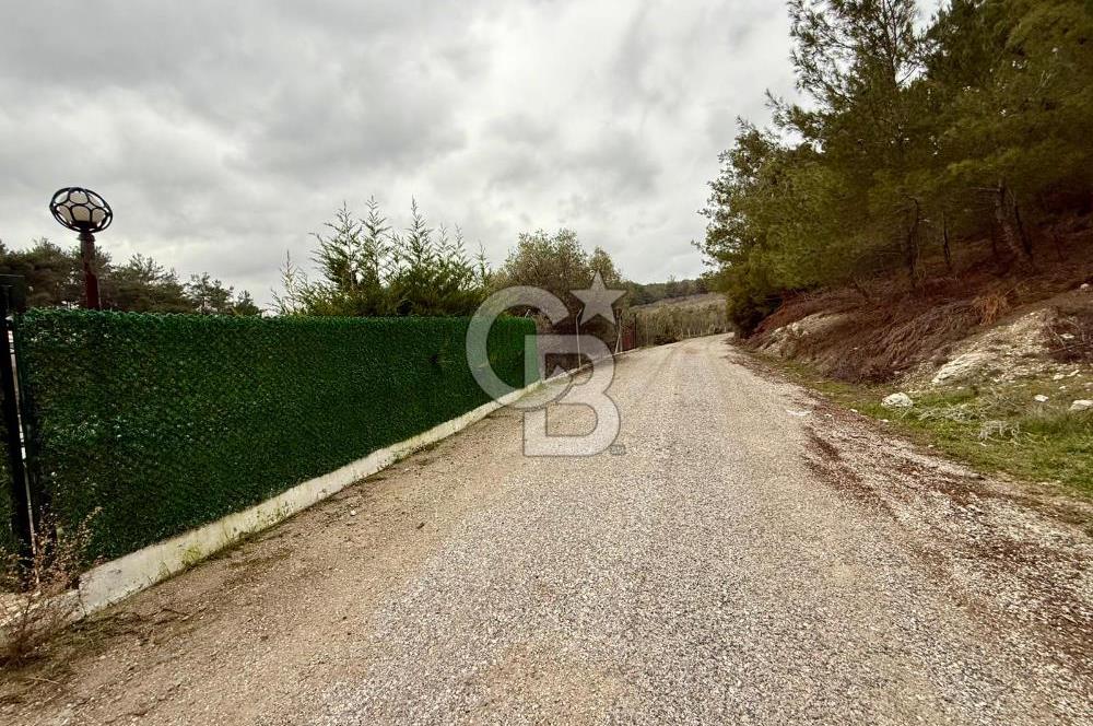 Yakaköy'de Doğa İçinde Satılık Bahçeli Müstakil Taş Ev