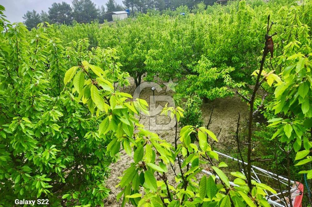 Yakaköy'de Doğa İçinde Satılık Bahçeli Müstakil Taş Ev