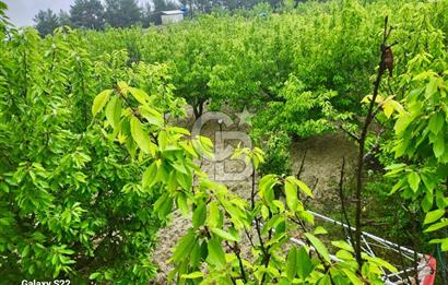 Yakaköy'de Doğa İçinde Satılık Bahçeli Müstakil Taş Ev