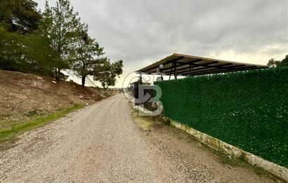 Yakaköy'de Doğa İçinde Satılık Bahçeli Müstakil Taş Ev