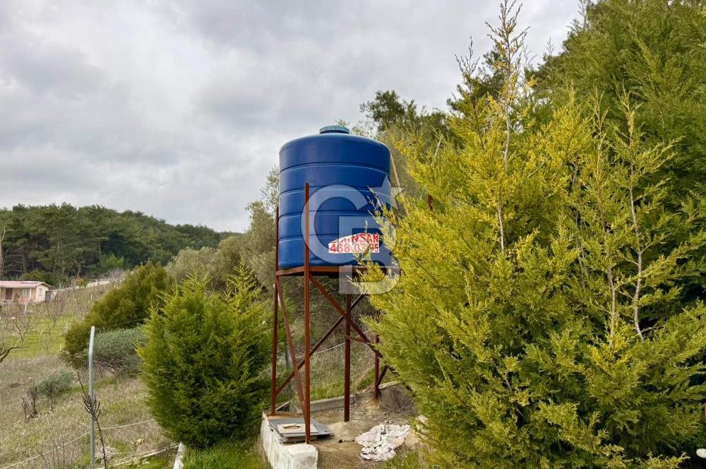 Yakaköy'de Doğa İçinde Satılık Bahçeli Müstakil Taş Ev