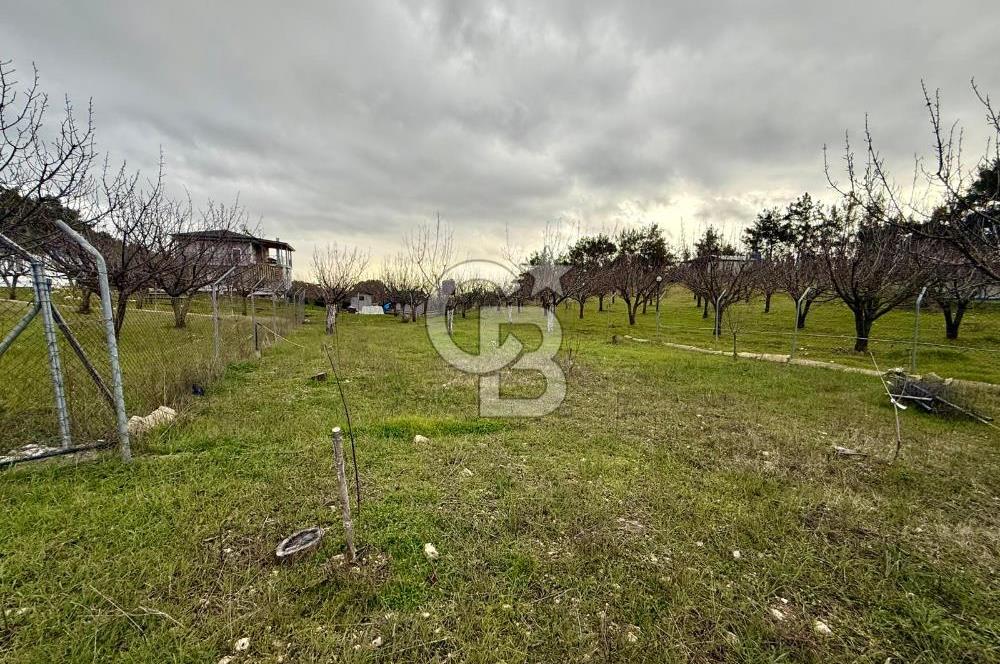 Yakaköy'de Doğa İçinde Satılık Bahçeli Müstakil Taş Ev