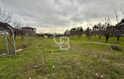 Yakaköy'de Doğa İçinde Satılık Bahçeli Müstakil Taş Ev