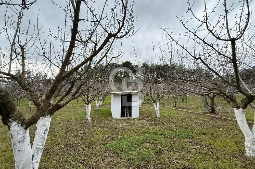 Yakaköy'de Doğa İçinde Satılık Bahçeli Müstakil Taş Ev