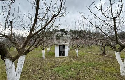 Yakaköy'de Doğa İçinde Satılık Bahçeli Müstakil Taş Ev