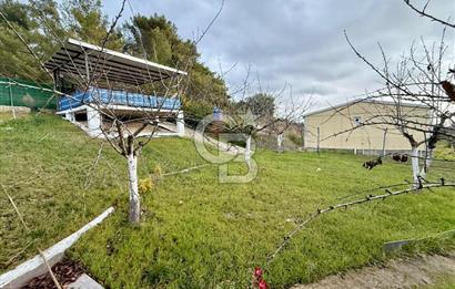 Yakaköy'de Doğa İçinde Satılık Bahçeli Müstakil Taş Ev