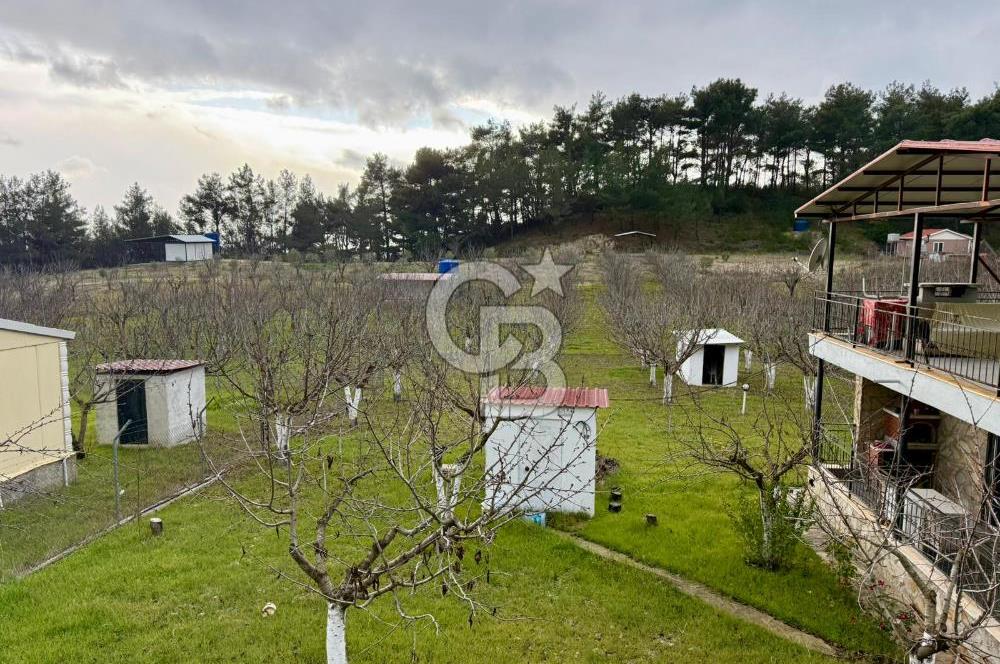 Yakaköy'de Doğa İçinde Satılık Bahçeli Müstakil Taş Ev