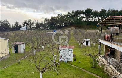 Yakaköy'de Doğa İçinde Satılık Bahçeli Müstakil Taş Ev