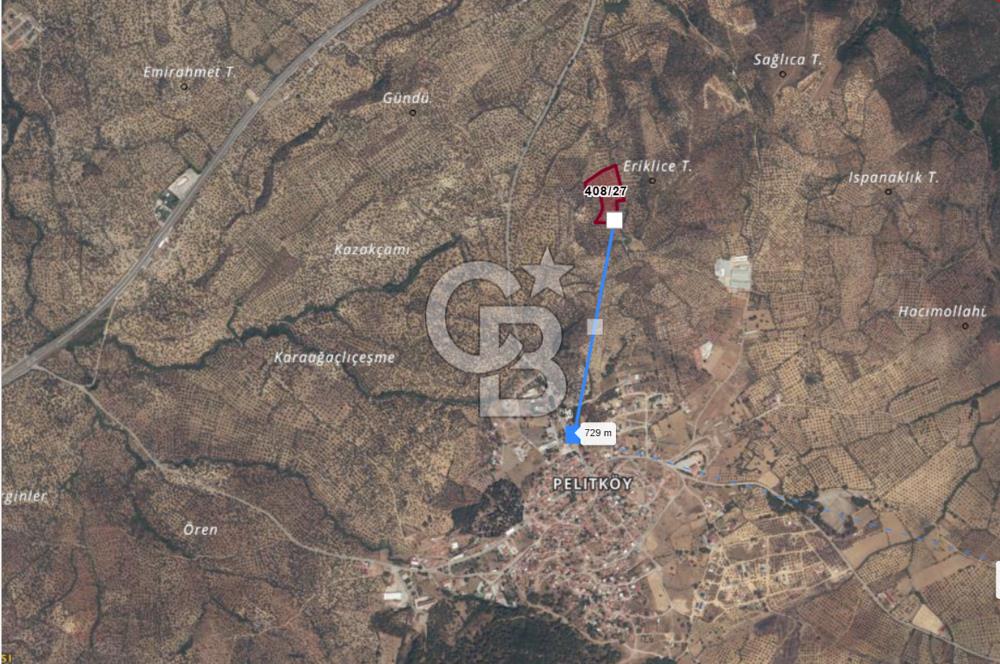 PELİTKÖY'DE YOLA 120 MT CEPHELİ,KÖYE 700 MT - 14 DÖNÜM ZEYTİNLİK