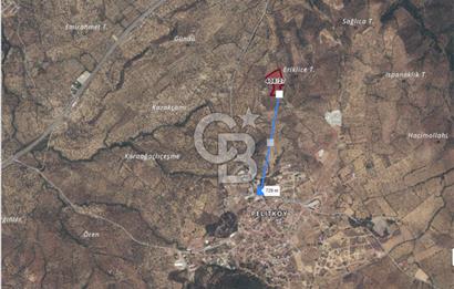 PELİTKÖY'DE YOLA 120 MT CEPHELİ,KÖYE 700 MT - 14 DÖNÜM ZEYTİNLİK