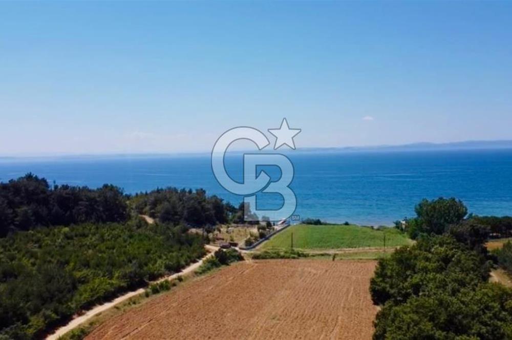 Edirne Keşan Sazlıdere Saros Körfezi Satılık 489 M2 Arsa