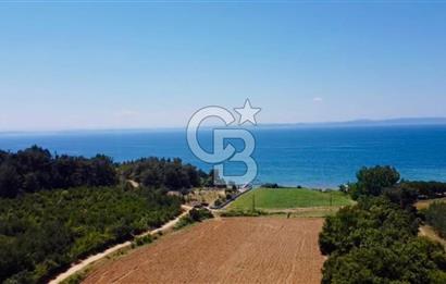 Edirne Keşan Sazlıdere Saros Körfezi Satılık 489 M2 Arsa