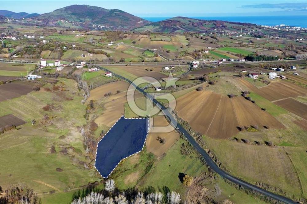 Sarıtaş'ta İmar Sınırında Satılık Tarla