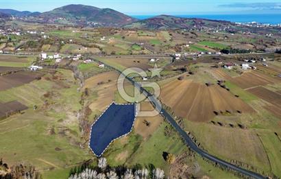 Sarıtaş'ta İmar Sınırında Satılık Tarla