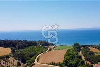 Edirne Keşan Sazlıdere Saros Körfezi Satılık 489 M2 Arsa - 2 - 325622