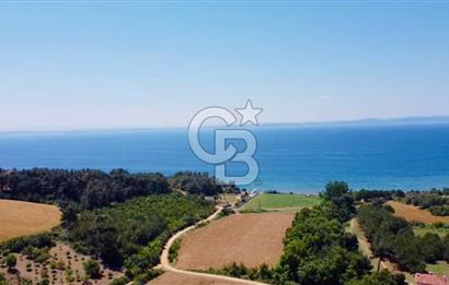 Edirne Keşan Sazlıdere Saros Körfezi Satılık 489 M2 Arsa