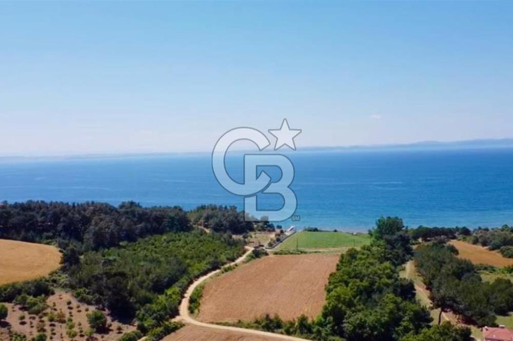 Edirne Keşan Sazlıdere Saros Körfezi Satılık 489 M2 Arsa