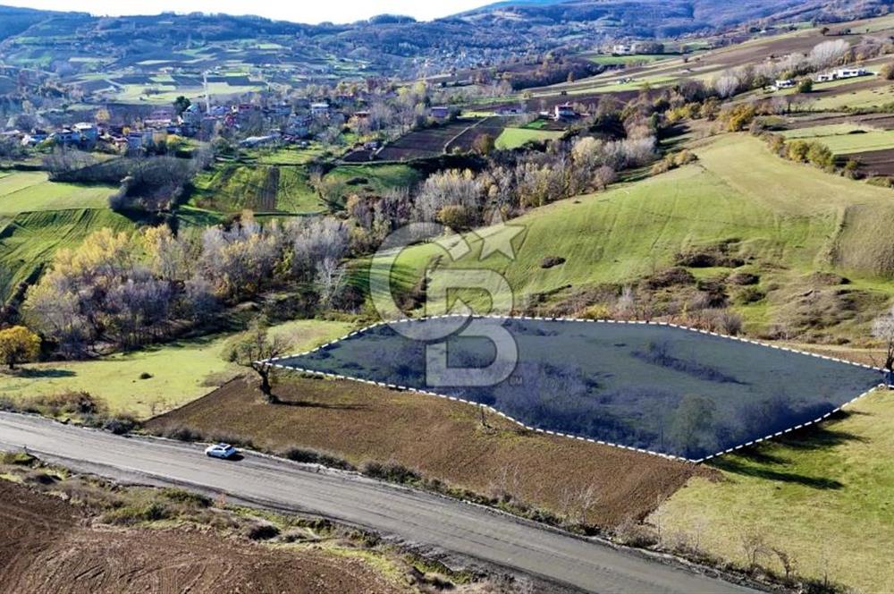 Sarıtaş'ta İmar Sınırında Satılık Tarla