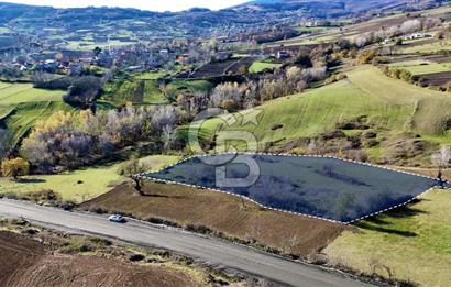 Sarıtaş'ta İmar Sınırında Satılık Tarla