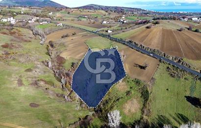 Sarıtaş'ta İmar Sınırında Satılık Tarla