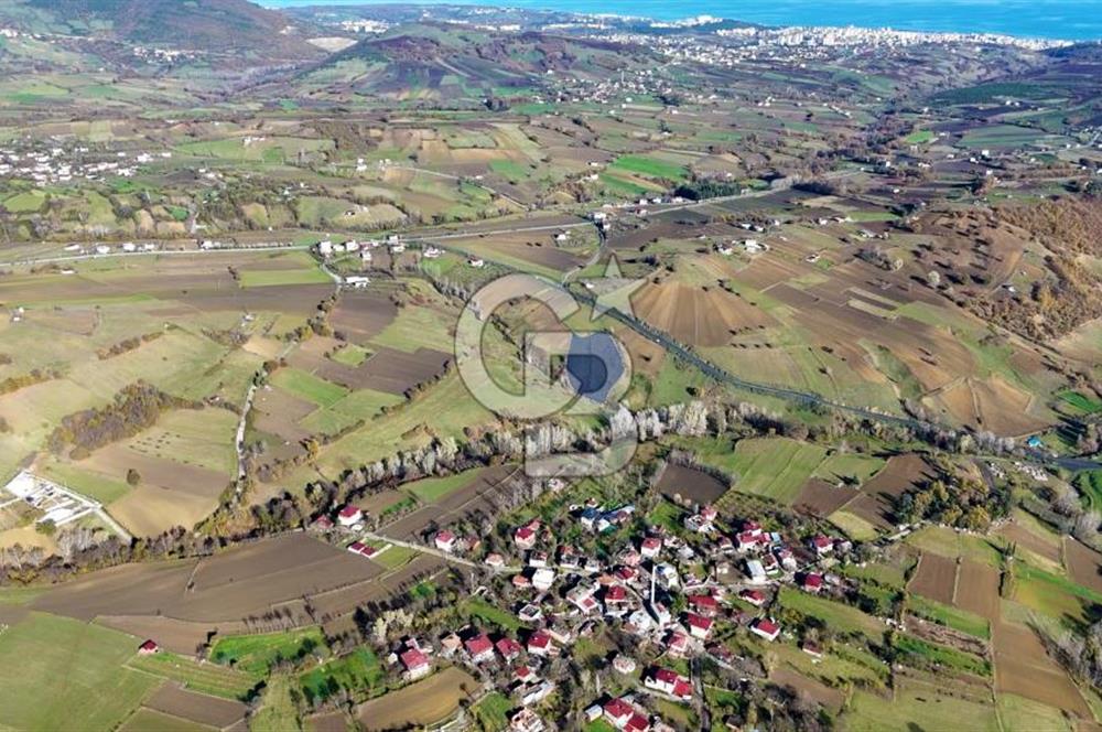 Sarıtaş'ta İmar Sınırında Satılık Tarla