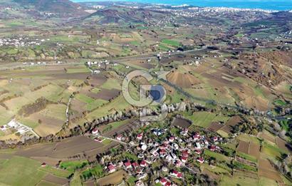 Sarıtaş'ta İmar Sınırında Satılık Tarla