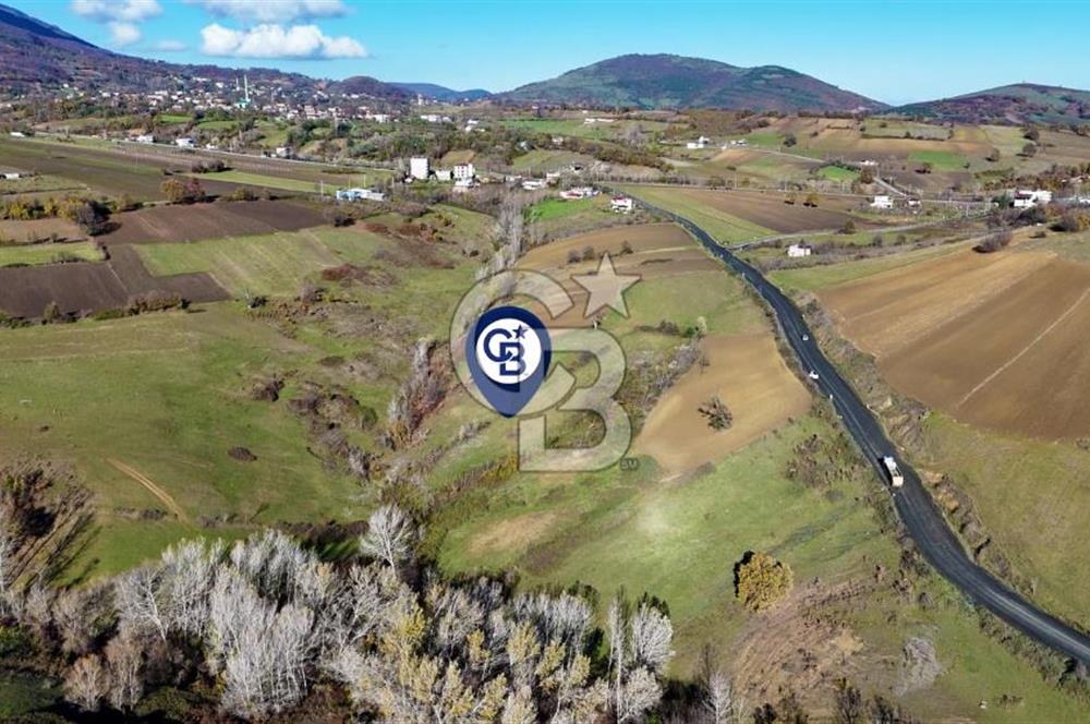 Sarıtaş'ta İmar Sınırında Satılık Tarla