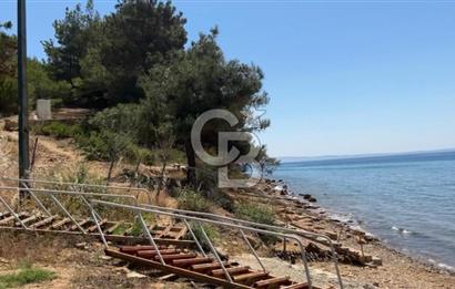 Edirne Keşan Sazlıdere Saros Körfezi Satılık 489 M2 Arsa