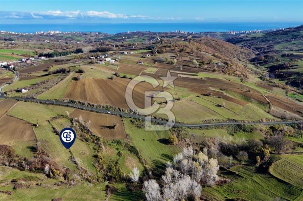 Sarıtaş'ta İmar Sınırında Satılık Tarla