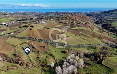 Sarıtaş'ta İmar Sınırında Satılık Tarla