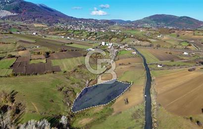 Sarıtaş'ta İmar Sınırında Satılık Tarla