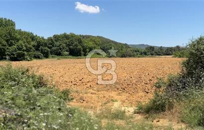 Edirne Keşan Sazlıdere Saros Körfezi Satılık 489 M2 Arsa